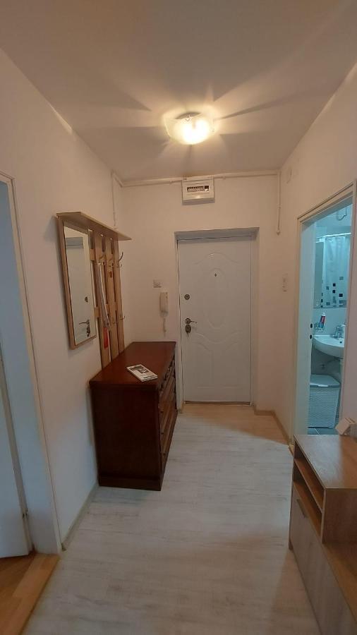 Apartman Milica Vrsac Eksteriør billede