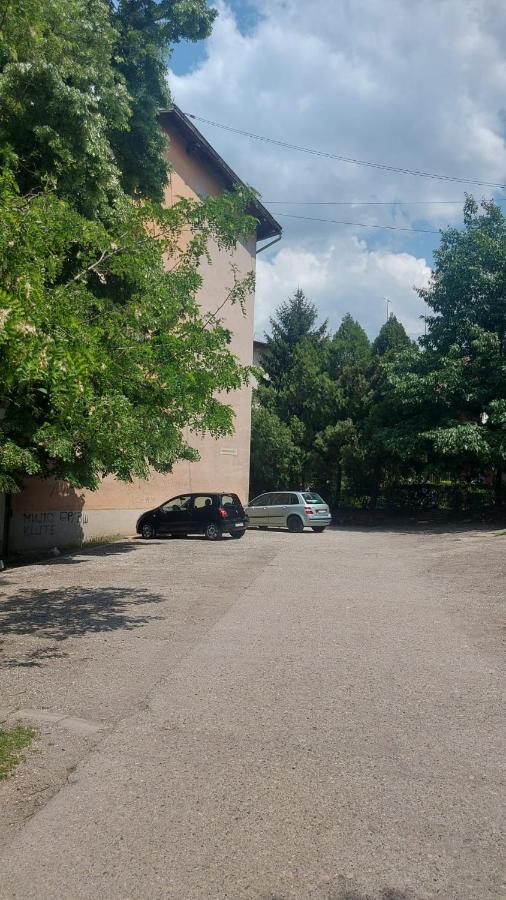 Apartman Milica Vrsac Eksteriør billede