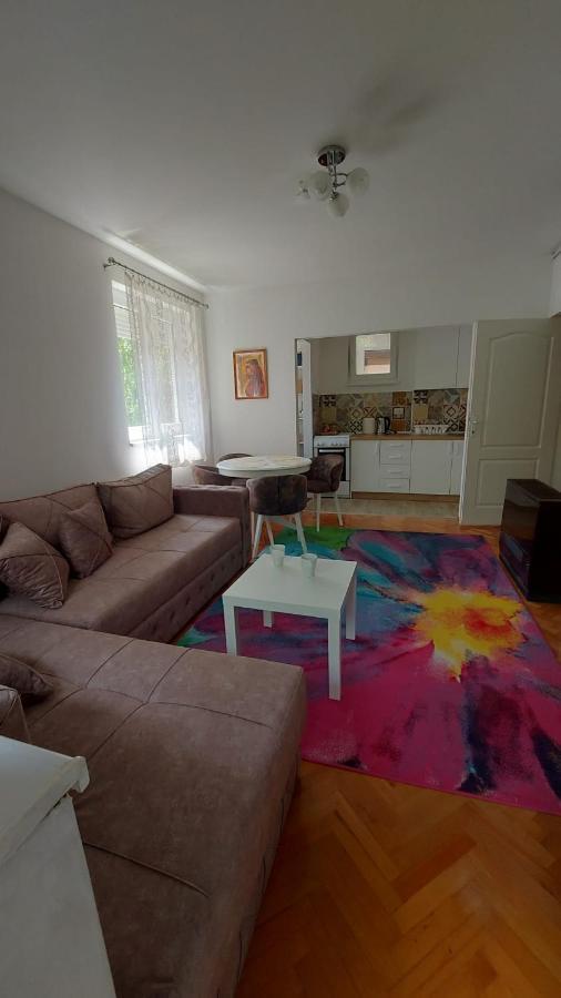 Apartman Milica Vrsac Eksteriør billede