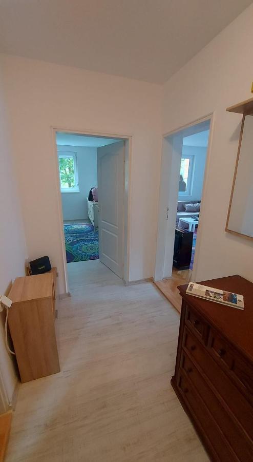 Apartman Milica Vrsac Eksteriør billede
