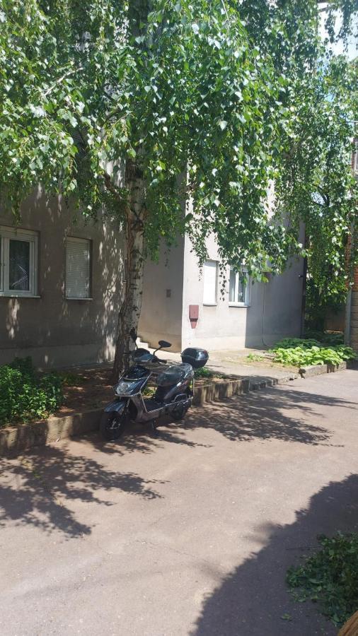 Apartman Milica Vrsac Eksteriør billede