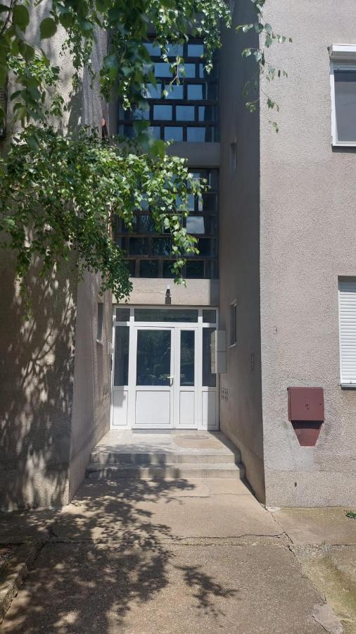 Apartman Milica Vrsac Eksteriør billede