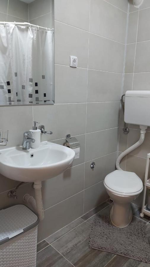 Apartman Milica Vrsac Eksteriør billede
